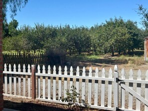 A white picket fence with a brick wall on one side and a clear blue sky in the background.