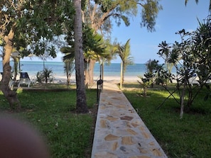Playa
