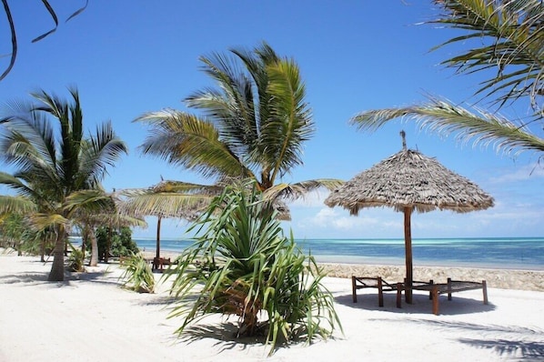 A beach with palm trees and a thatched umbrella. - JAZ Adonia Beach Resort (Uroa)