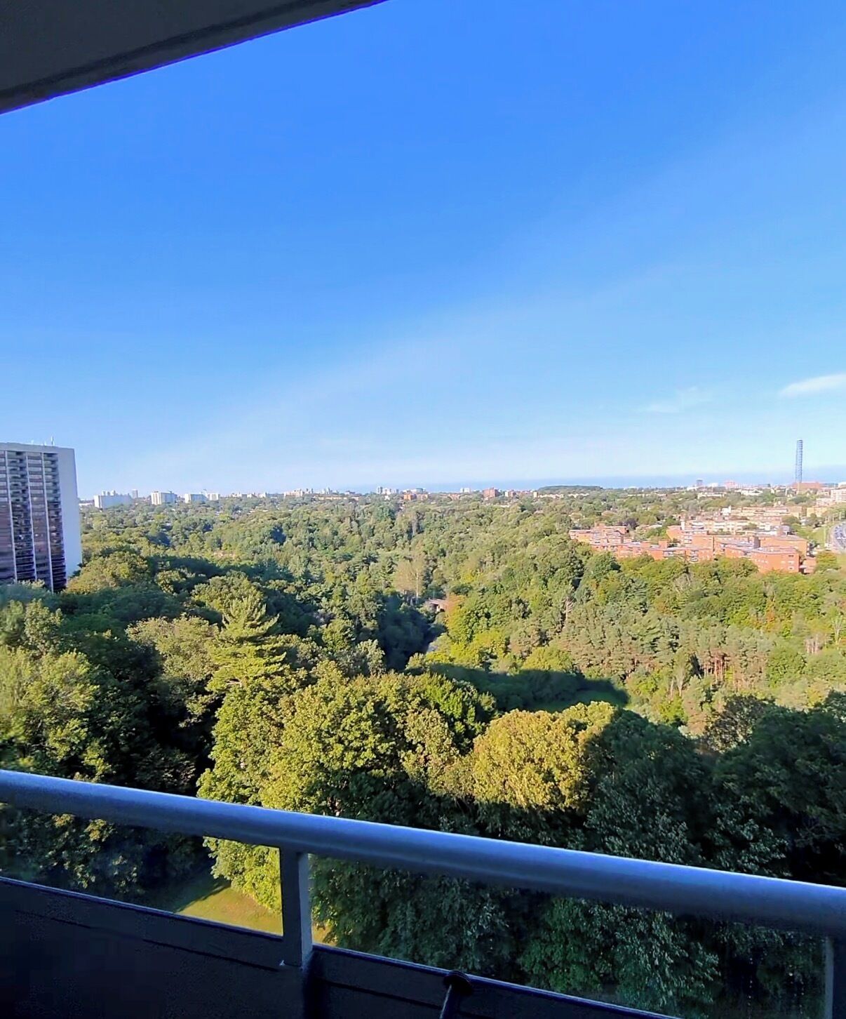 Un balcon donnant sur une zone densément boisée et sur des bâtiments situés au loin.