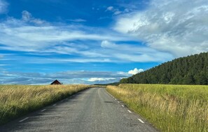 Eine ländliche Straße, gesäumt von Feldern und einem bewaldeten Hügel.
