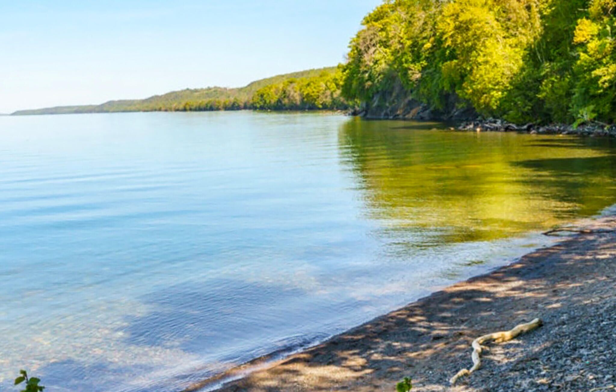 A calm lake with a rocky shoreline and dense forest in the background.