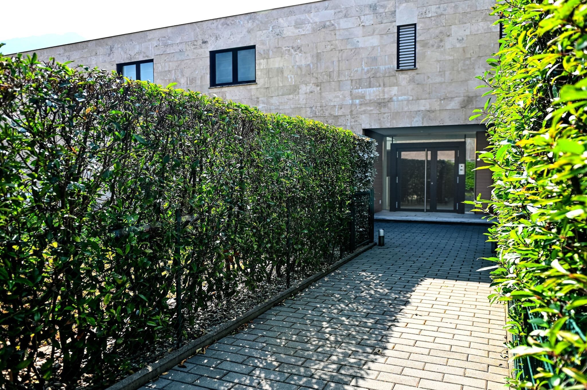 A paved pathway leading to a building with a modern design, a well-maintained hedge, and a clear sky.