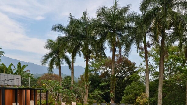A swimming pool with tiled edges, surrounded by lounge chairs and palm trees. - Laska Hotel and Resort Ciater (Ciater)