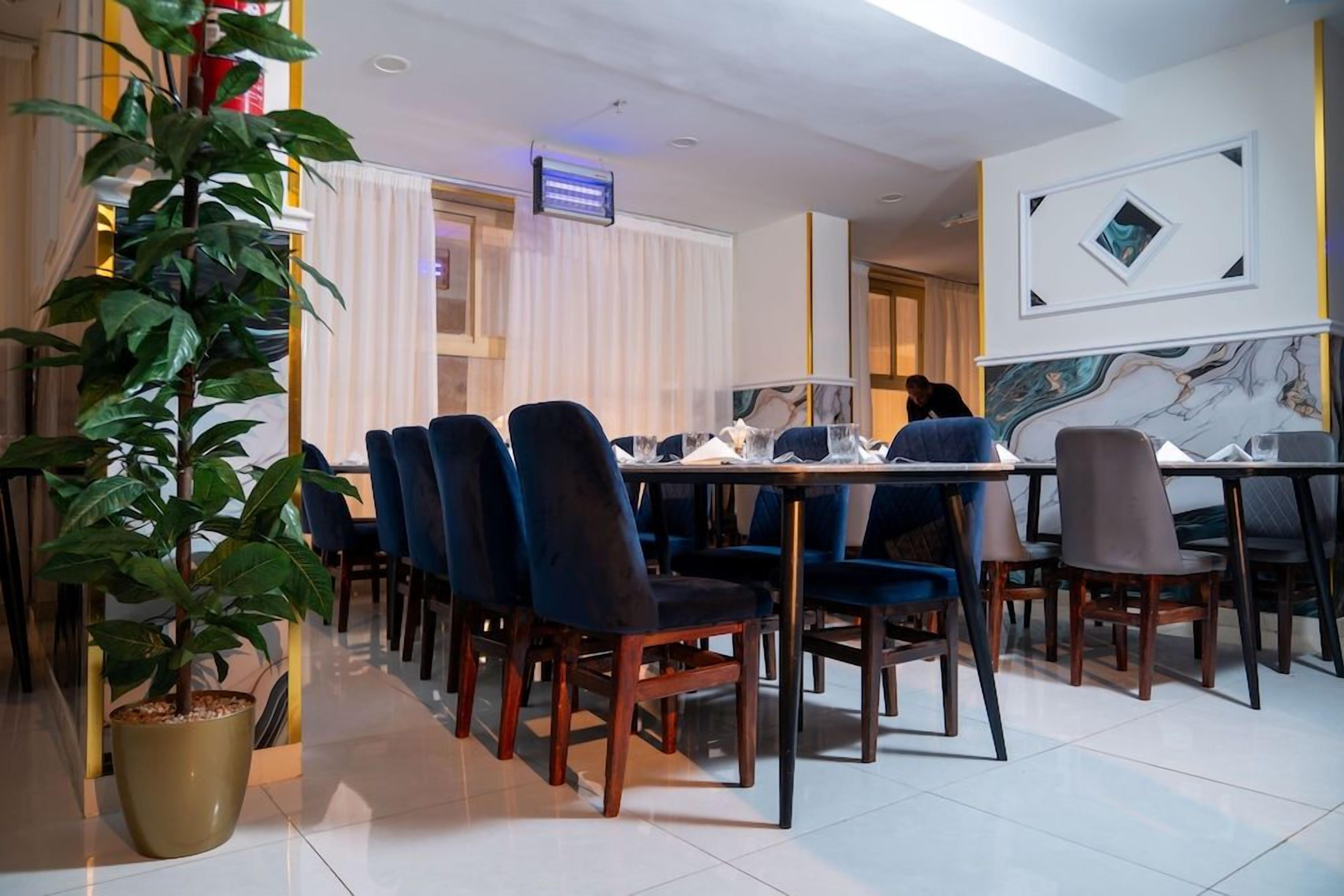 Un comedor con una mesa larga, varias sillas y una planta en maceta.
