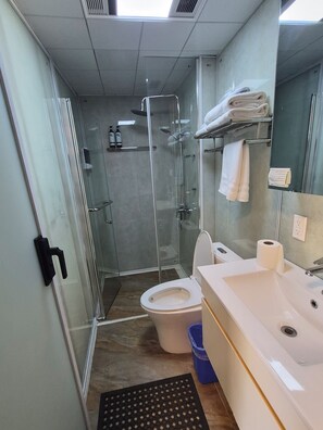 A modern bathroom with a glass-enclosed shower, a white toilet, and a sink with a mirror.