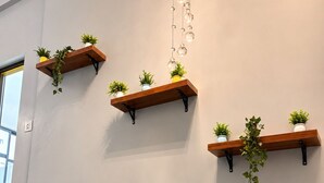 Uma escadaria com degraus de mármore preto e prateleiras de madeira fixadas na parede, com plantas em vasos.