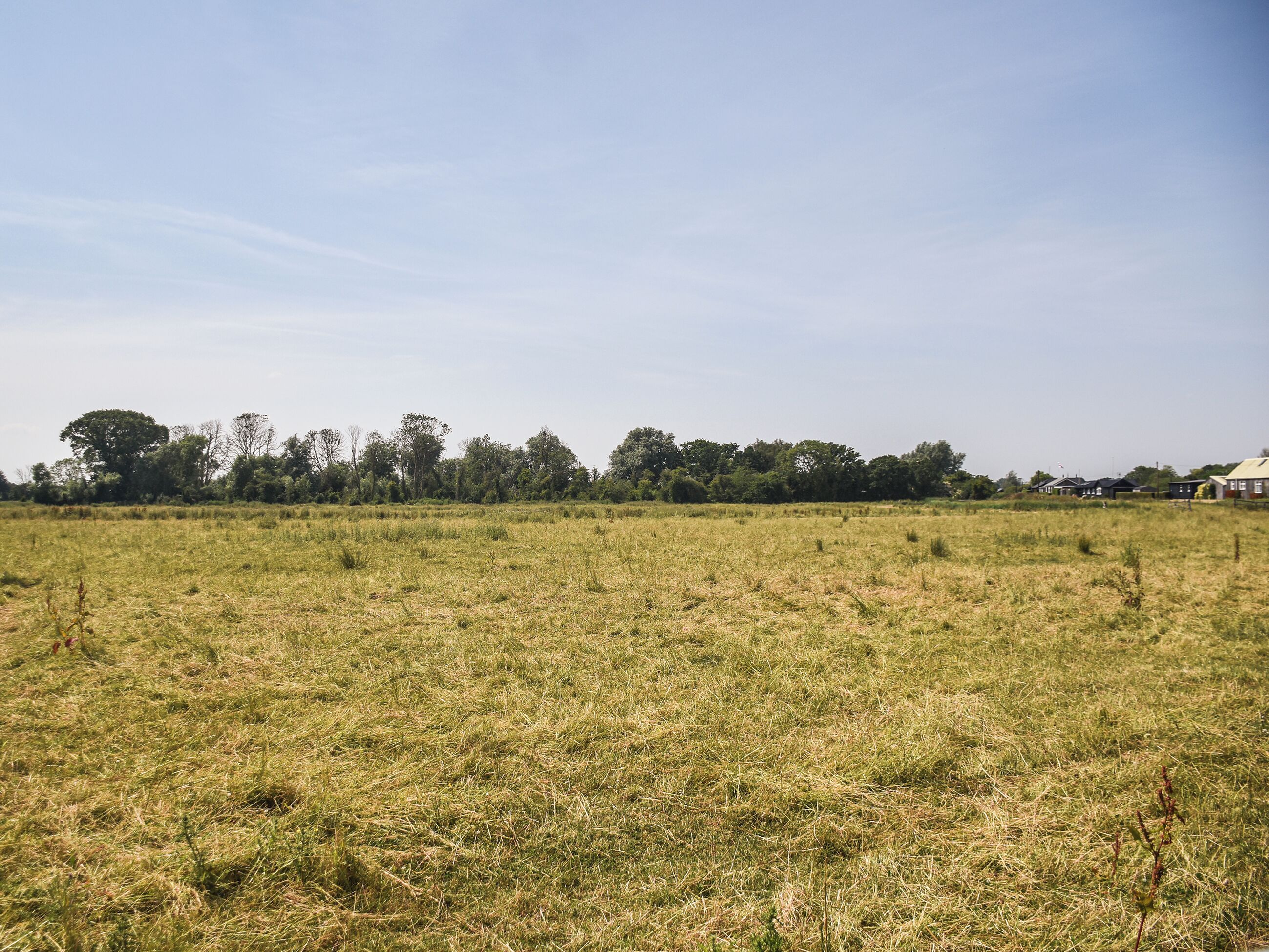 A flat landscape with a line of trees and a few buildings in the distance.