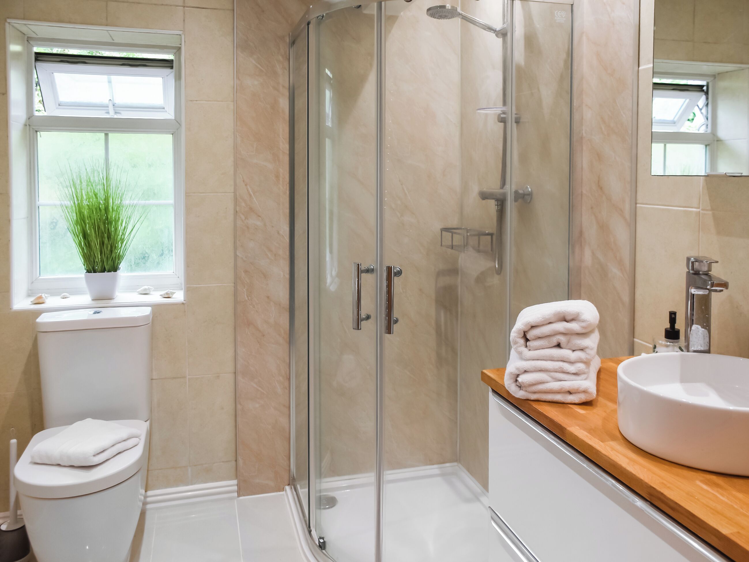 A bathroom with a glass-enclosed shower, a toilet, a sink, and a window with a plant.