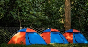 Basic Tent | Property grounds