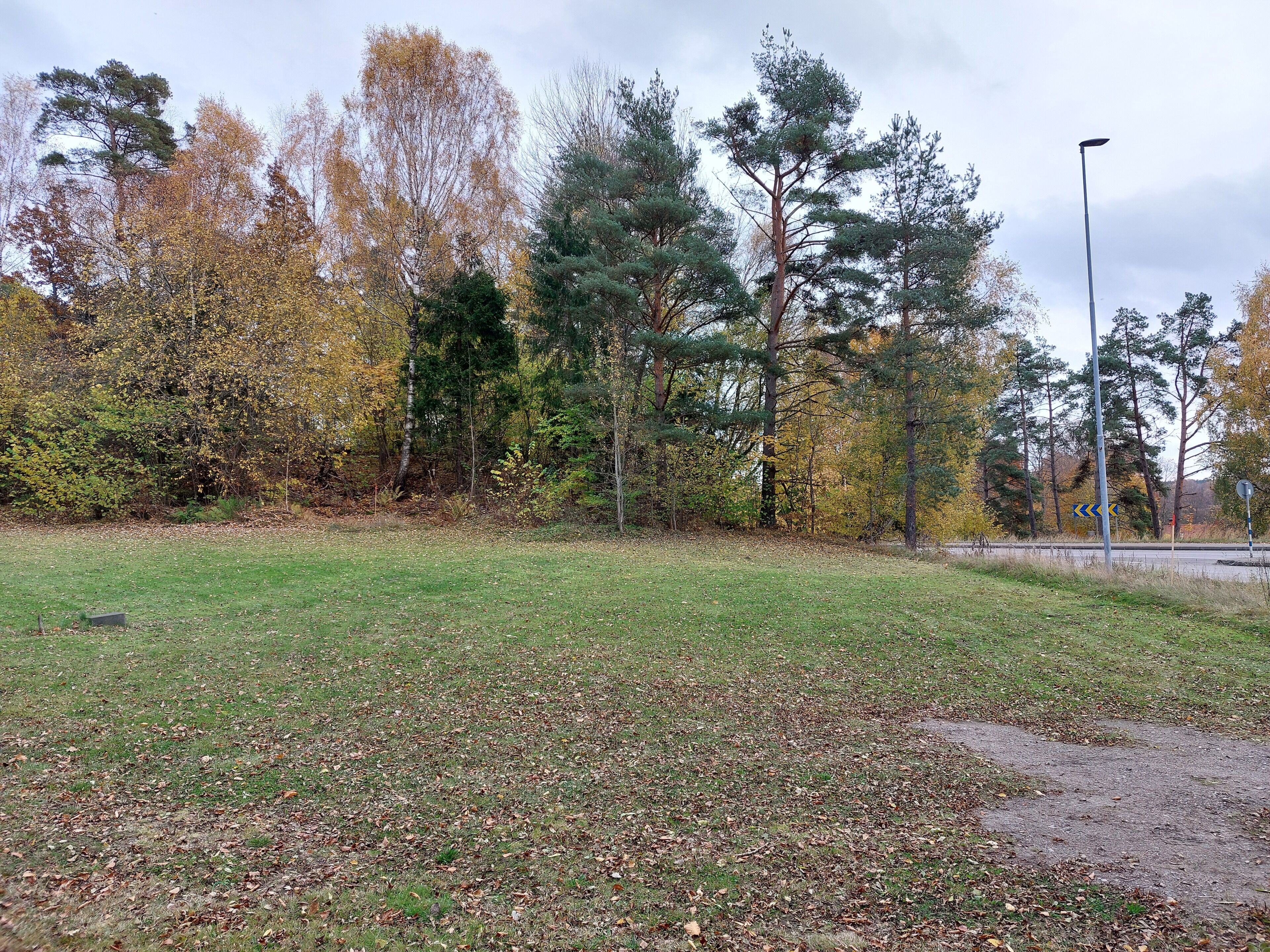 A park with a grassy area, trees, and a road with a traffic sign.