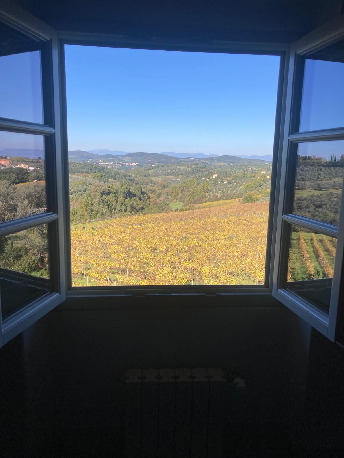 Una habitación con un amplio ventanal que ofrece vistas a un viñedo y colinas distantes.