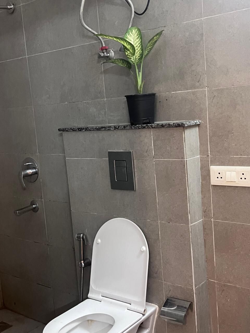 A bathroom with a white toilet, a shower, a potted plant on a shelf, and a wall-mounted light switch.