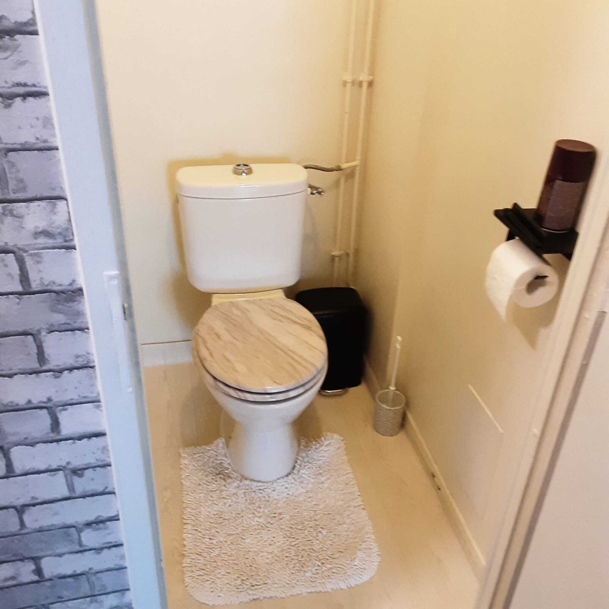 Secador de cabelo, toalhas de banho, sabonete, papel higiênico