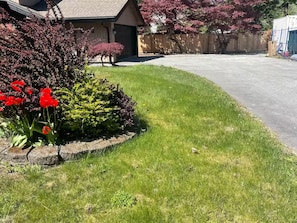 A residential driveway with a well-maintained lawn and a variety of shrubs and flowers. - Modern Bright Lynn Valley Suite with Patio, Parking & Evergreen Surroundings (North Vancouver)