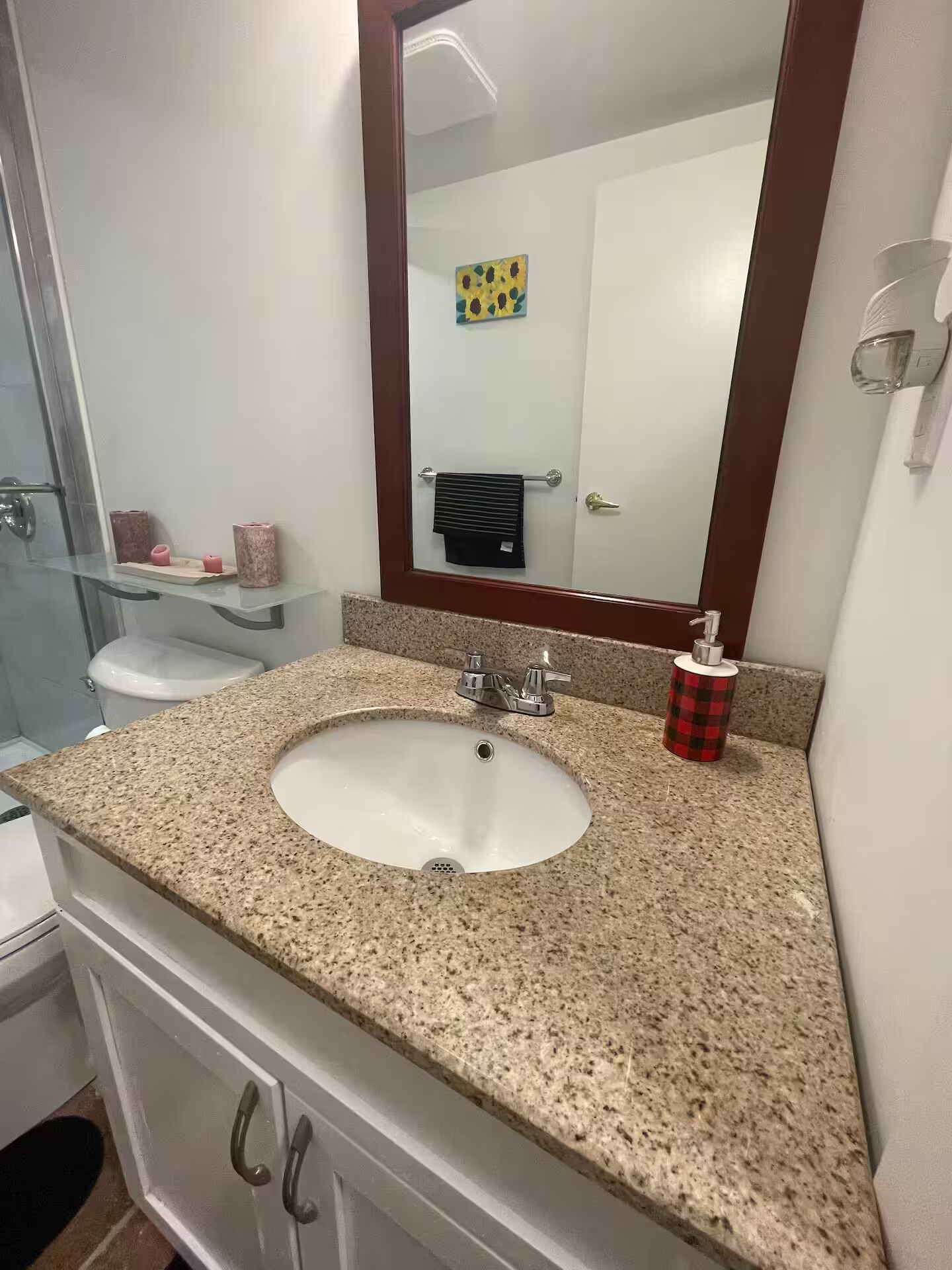 Hair dryer, towels, soap, toilet paper