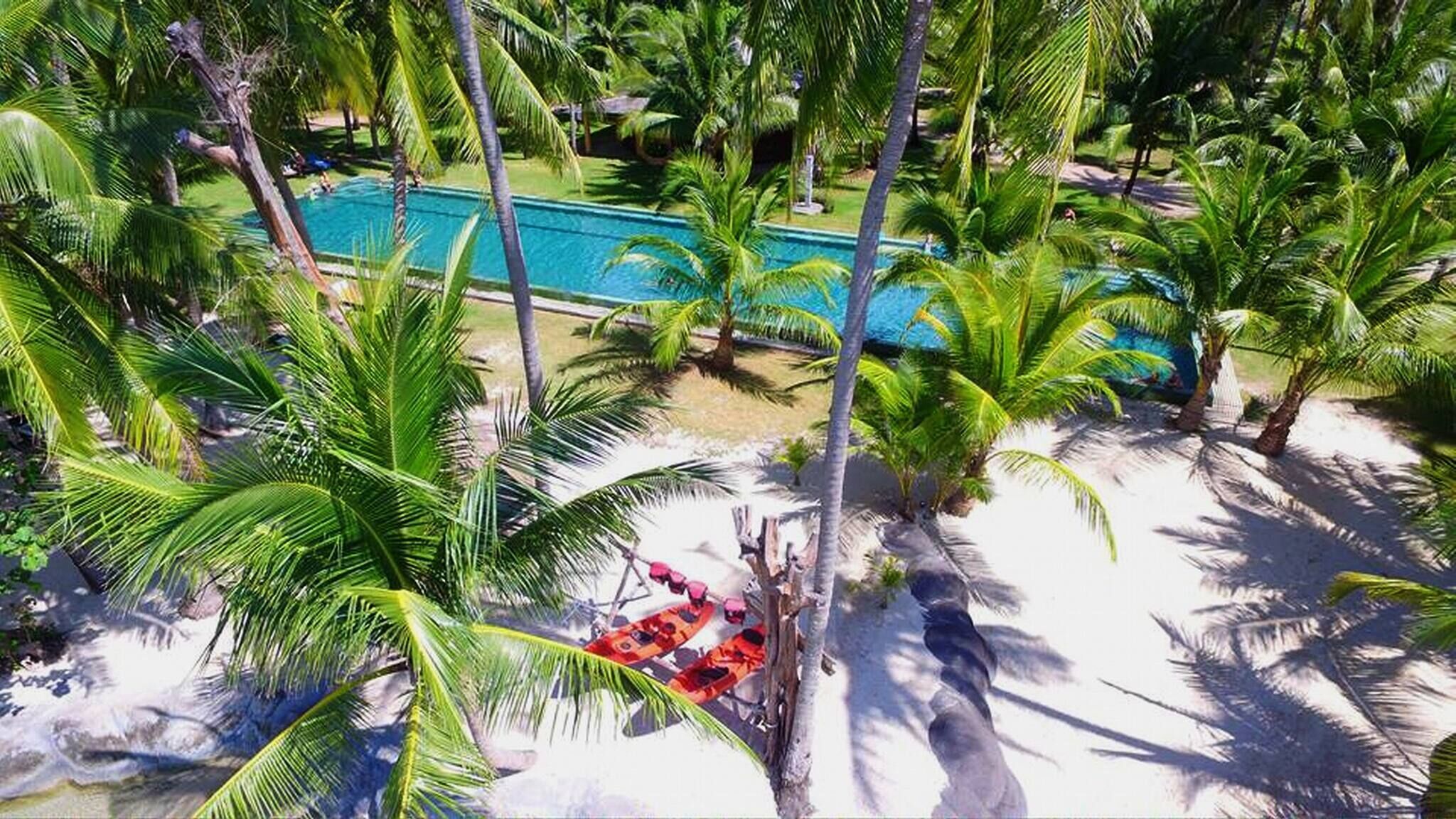 Una piscina circondata da palme e da un'area sabbiosa con un kayak rosso.