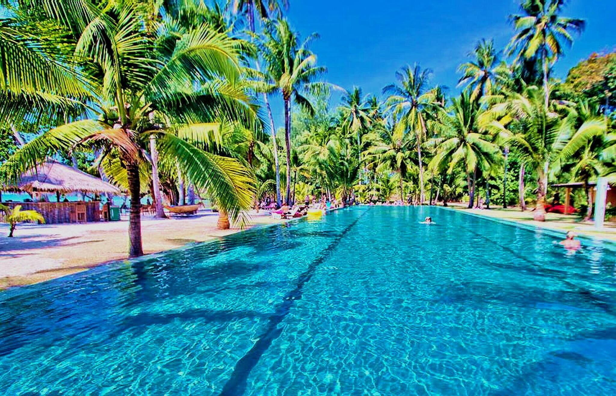A clear blue pool surrounded by palm trees and a thatched-roof structure.