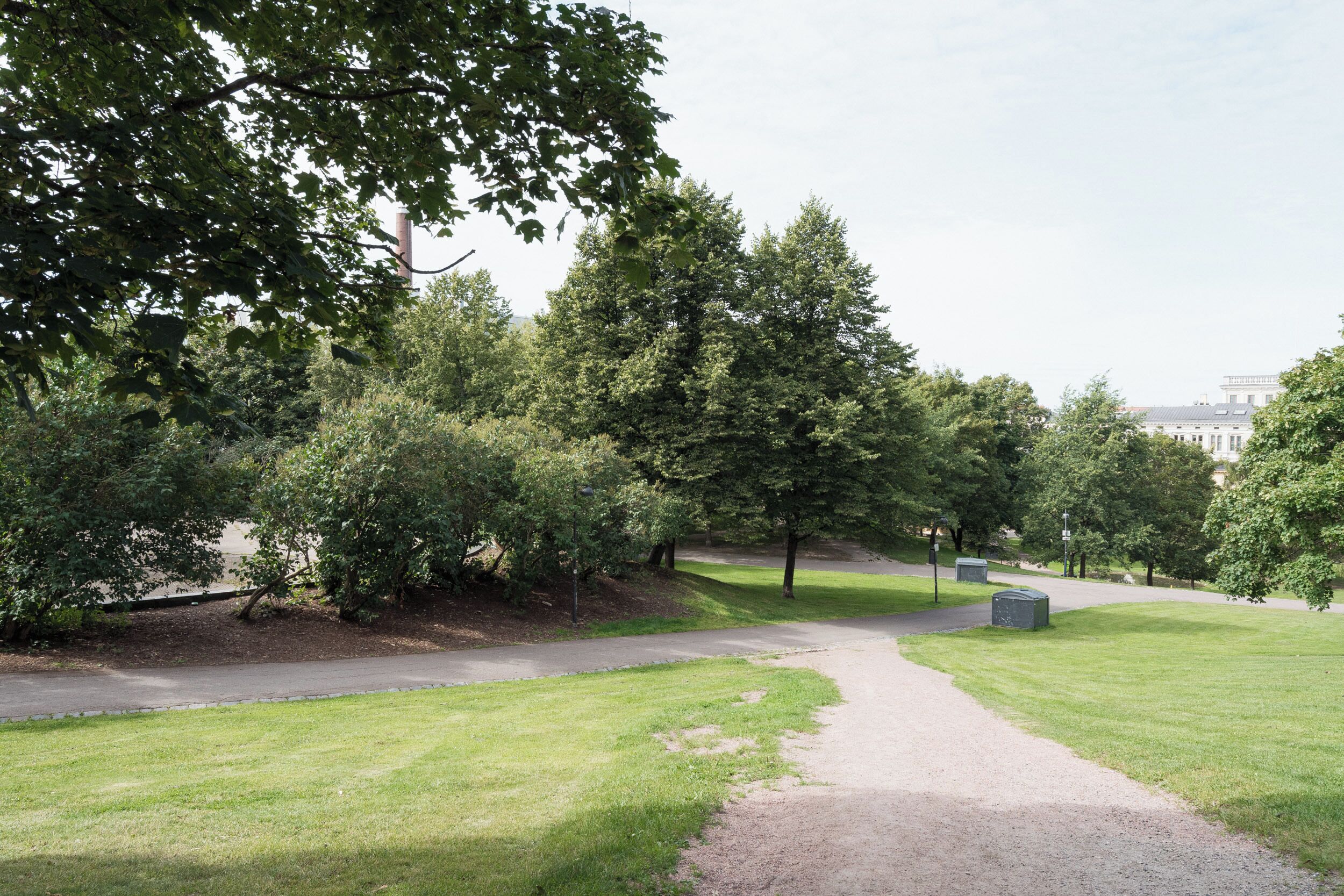 A park pathway with trees and a grassy area.