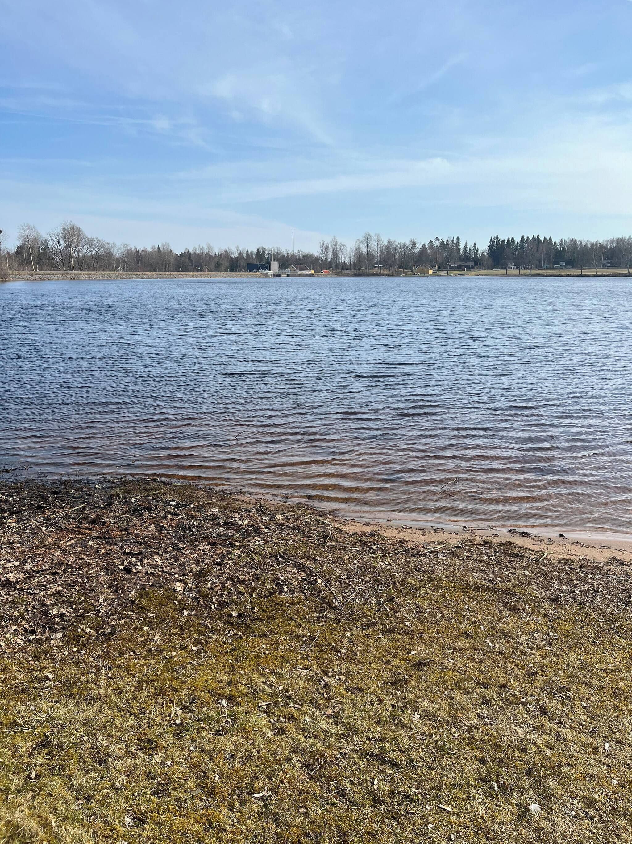 Un lago con orilla arenosa y un bosque al fondo.