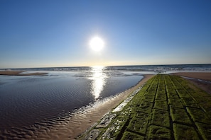 Beach - Middelkerke Beach Apartment (MIDDELKERKE)