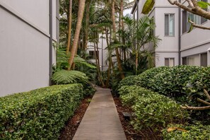 Un sendero estrecho bordeado por abundante vegetación y edificios modernos.