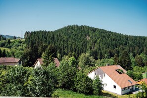 A residential area with houses surrounded by dense forest and a hill in the background. - Le Pic Noir, View of the Lake and Mountains (Gérardmer)