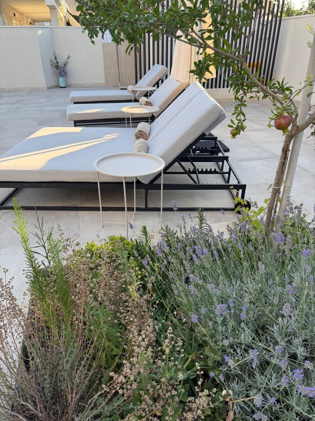 Terraza en la azotea con tumbonas y una pequeña mesa, rodeada de plantas y un árbol.