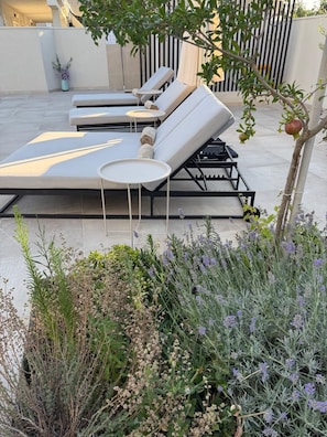 Eine Dachterrasse mit Liegestühlen und einem kleinen Tisch, umgeben von verschiedenen Pflanzen und einem Baum.