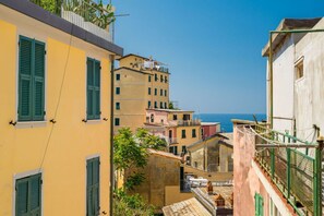 A coastal town with buildings featuring balconies and a view of the sea. - [ARio] Riomaggiore-5TERRE-A/C-best position (Riomaggiore)