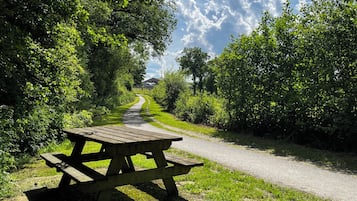 A picnic table in a park with a paved path and dense greenery.