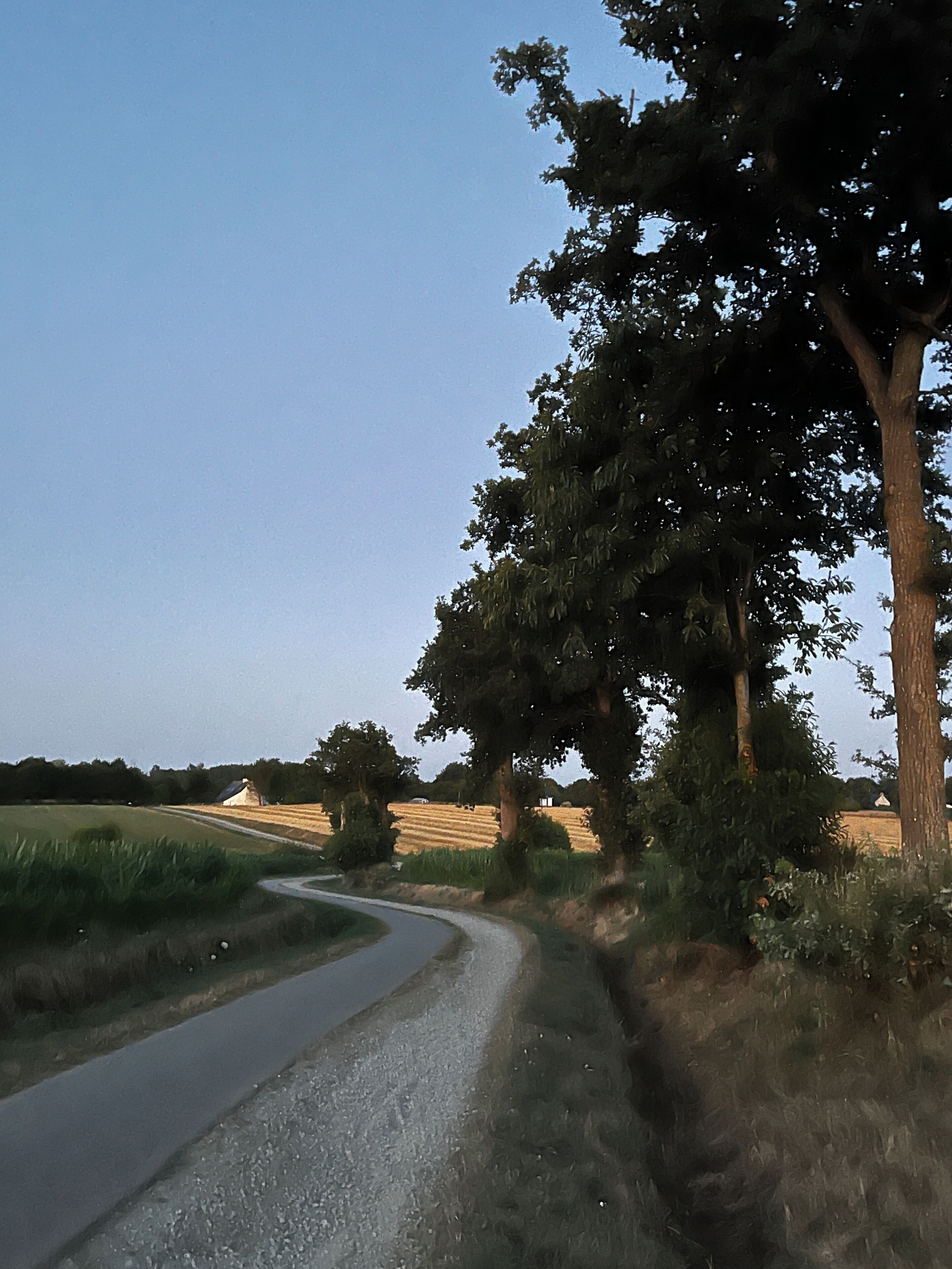 Una strada rurale che serpeggia attraverso un campo, con alberi su un lato e un edificio all'orizzonte.