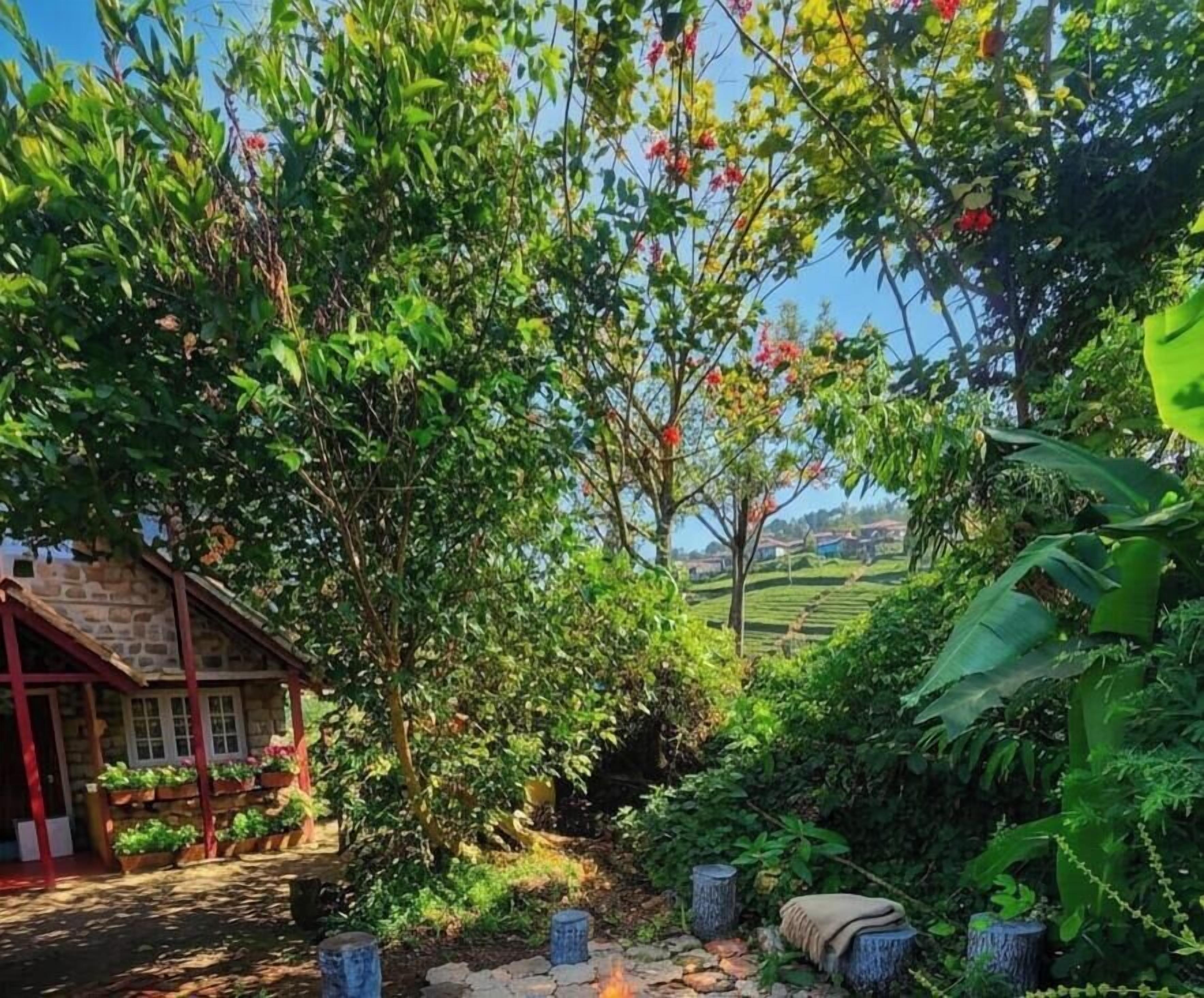 A garden with a stone building, lush greenery, and a clear sky.
