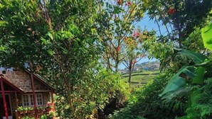 A garden with a stone building, lush greenery, and a clear sky. - Aura Castle (Kodaikanal)