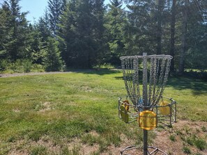 A disc golf basket in a grassy field with trees in the background. - Wonderful 3-bedroom house with AC in charming Packwood (Packwood)