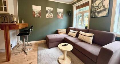 Rustic charm in the heart of Trondheim – comfortable apartment with free parking