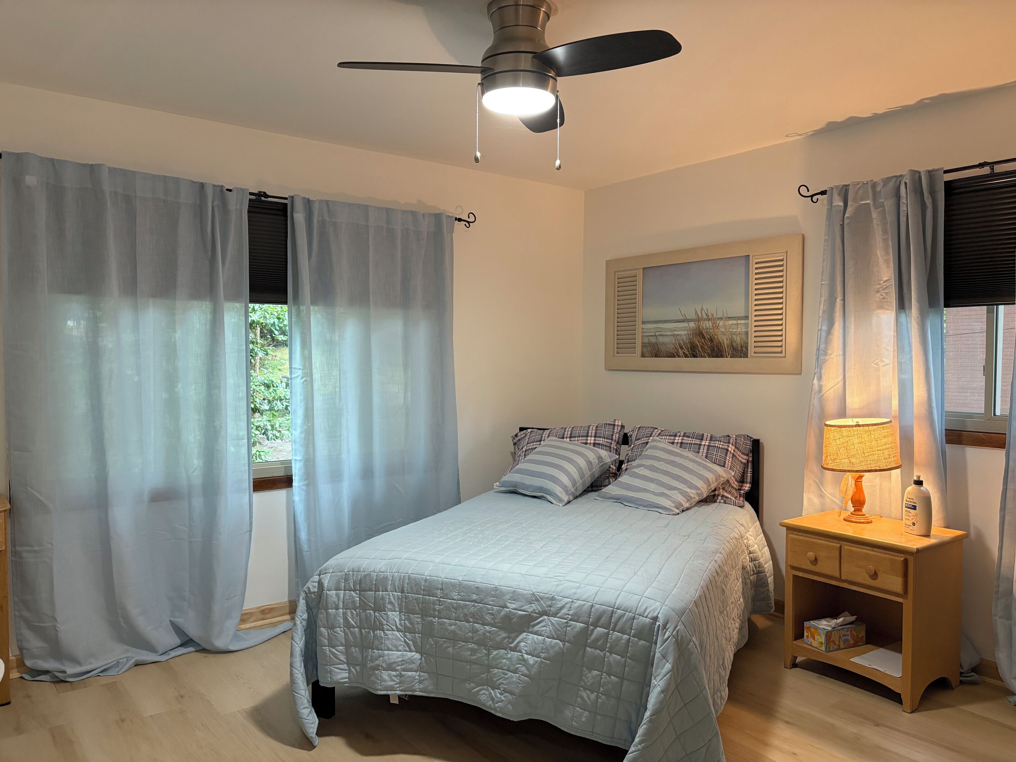 A bedroom with a bed, curtains, a ceiling fan, a bedside table with a lamp, and a framed picture on the wall.