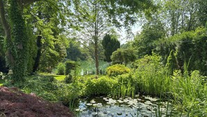 A serene garden with a pond, lush greenery, and a variety of plants. - Holiday home on Lake Ternscher with private jetty (Selm)