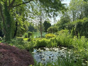A serene garden with a pond, lush greenery, and a variety of plants. - Holiday home on Lake Ternscher with private jetty (Selm)