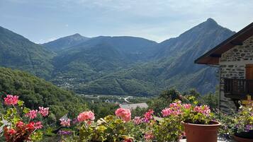 Un balcon agrémenté de plantes en pot et offrant une vue sur la montagne.