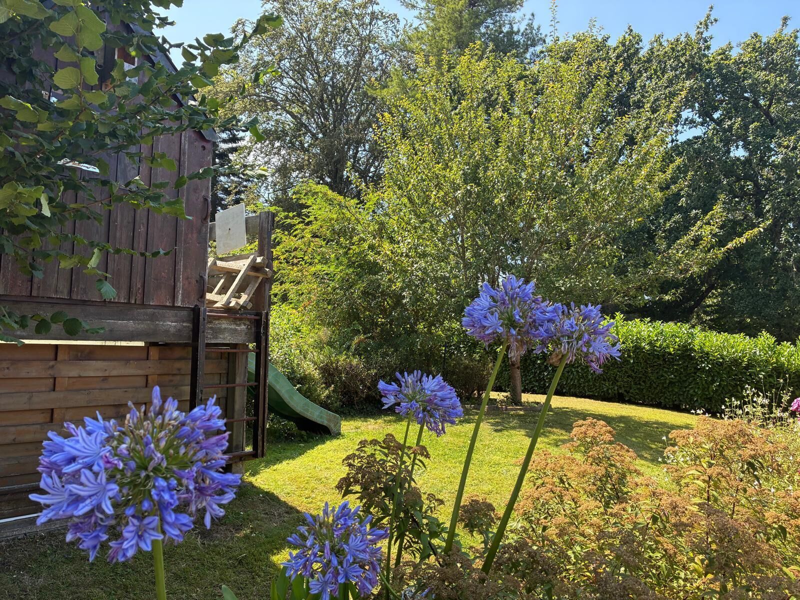 A garden with a wooden play structure, a slide, and purple flowers.