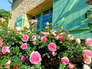 A building with green shutters and a wall covered in pink and white roses. - Charming bed and breakfast with swimming pool in Dordogne (Plazac)