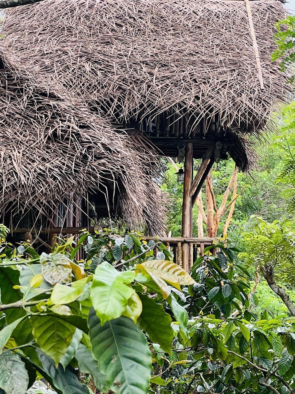 Rumah Pohon | Wi-Fi gratis