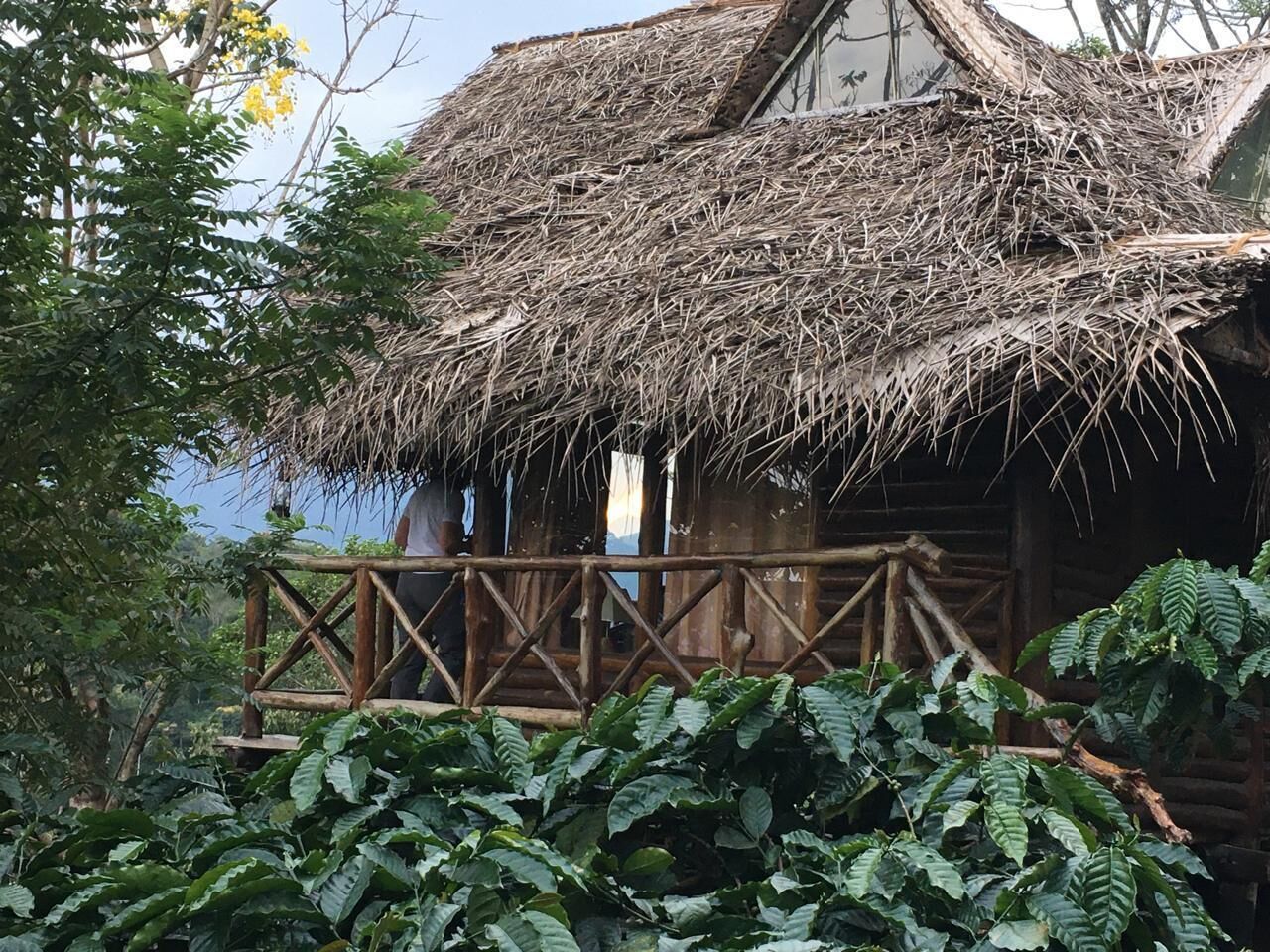 Una cabaña rústica de madera con techo de paja y una terraza de madera.