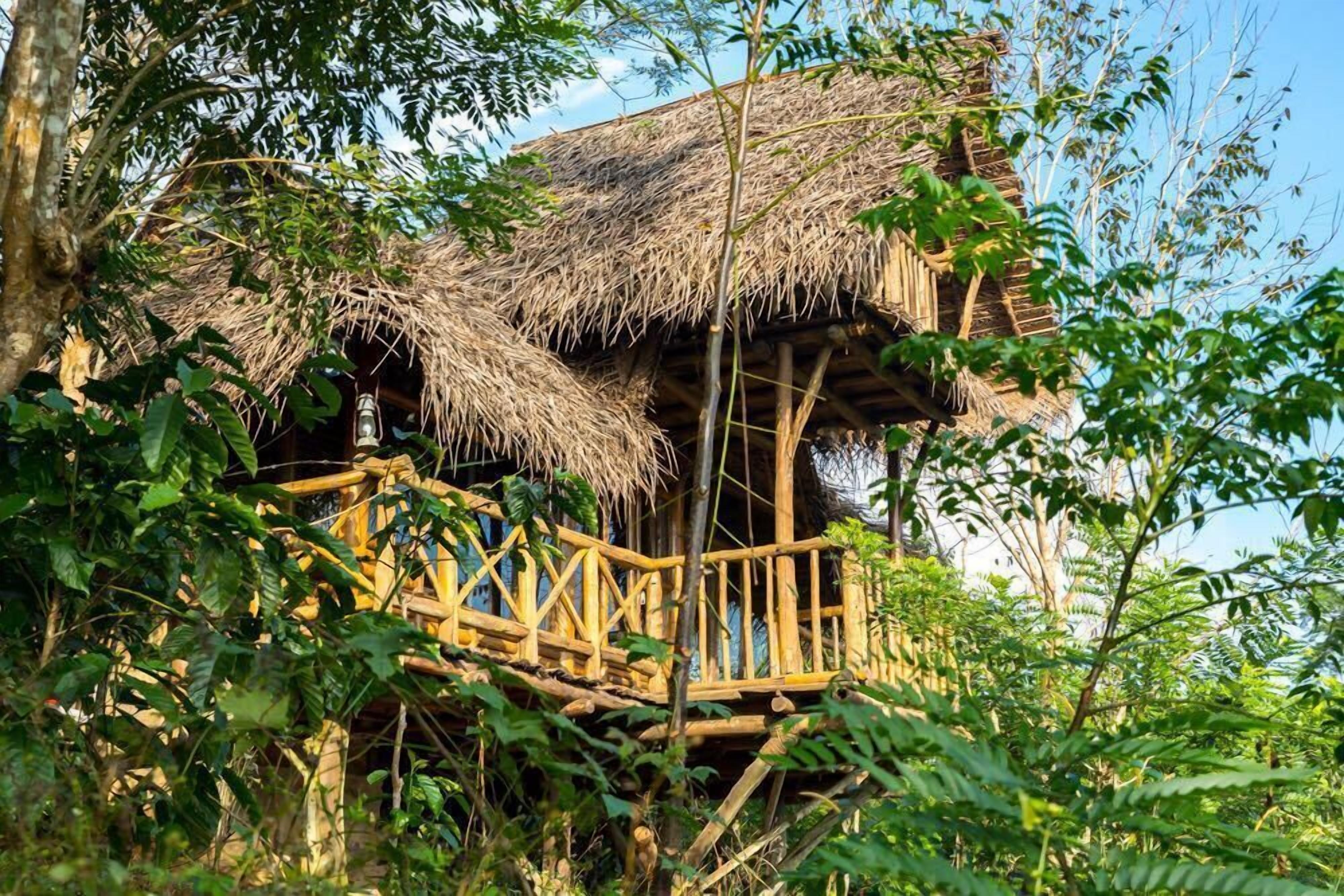Una casa en árbol con techo de paja y plataforma de madera.
