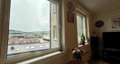 Jupiter Canal View – a cozy city apartment in a central location in Trondheim