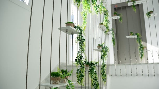 A vertical garden installation with plants hanging from ropes against a white wall, with a window and door in the background. - AP Alsa 01 with Shared Terrace, WiFi, and Air Conditioning (Conil de la Frontera)