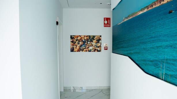 A corridor with a wall-mounted picture of seashells, a fire alarm pull station, and a view of the sea. - AP Alsa 2.3 with Shared Terrace, WiFi, and Air Conditioning (Conil de la Frontera)