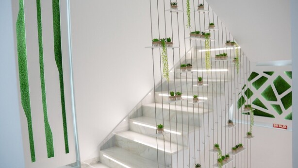 A staircase with white steps and green plants on shelves. - AP Alsa 2.1 with Shared Terrace, WiFi and Air Conditioning (Conil de la Frontera)