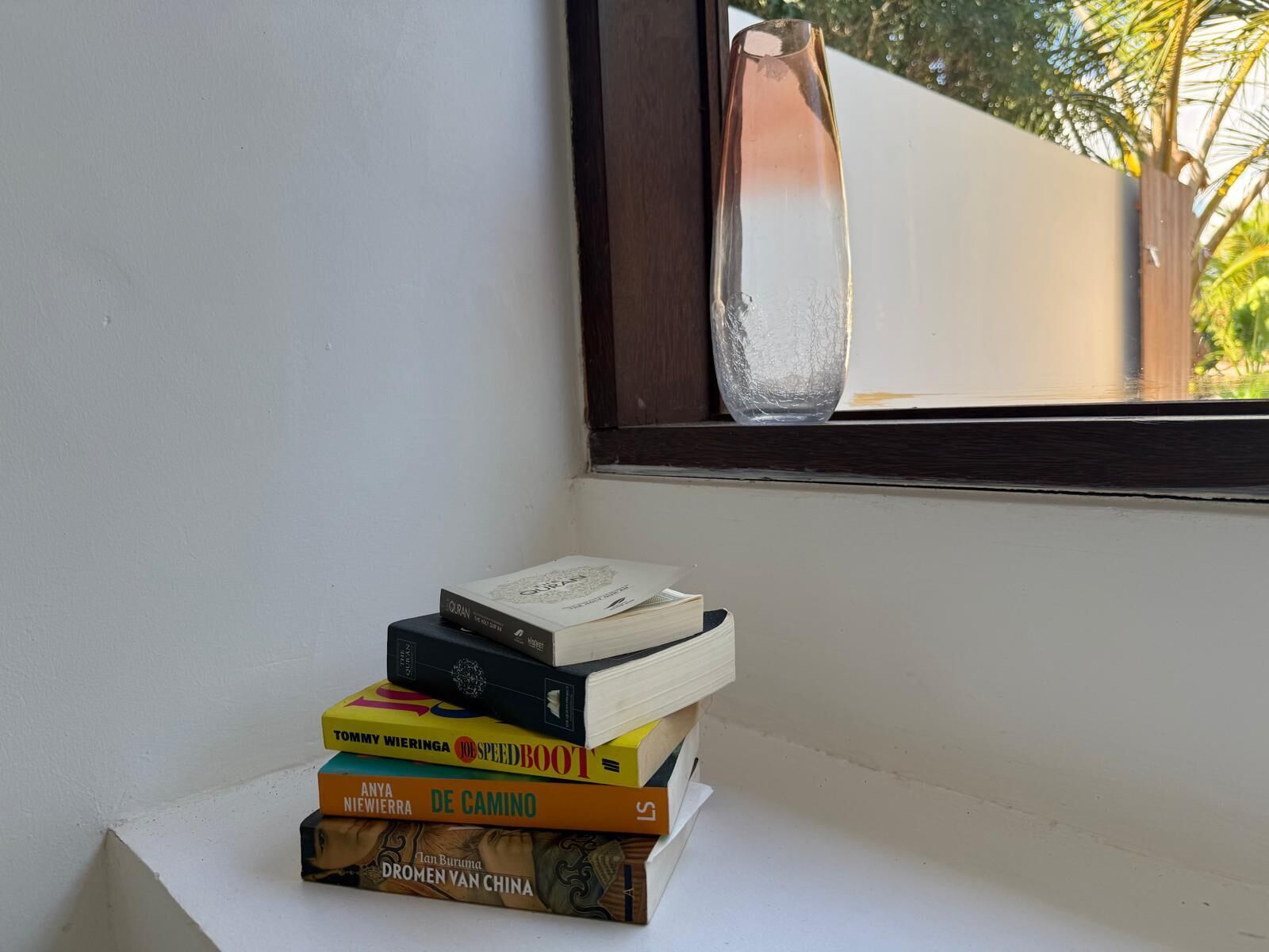 A stack of books on a white surface near a window with a clear view of a tree outside.